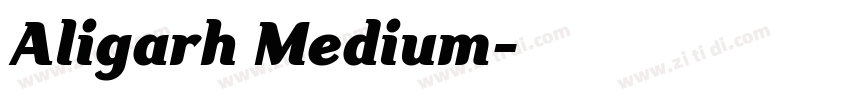 Aligarh Medium字体转换
